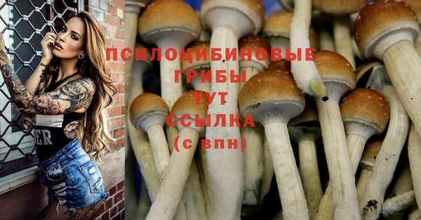 бошки Алексин