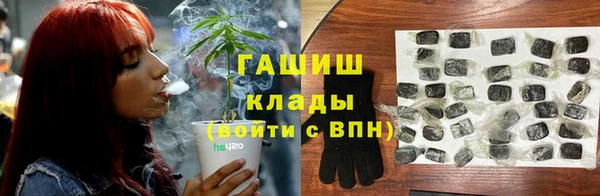 твердый Абаза
